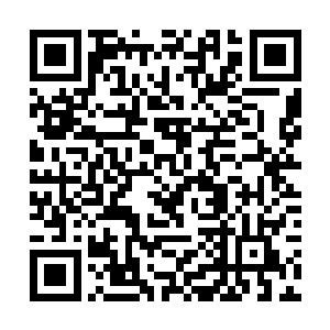 龙傲天将整个宫殿都笼罩在他所布下的防御结界之内二维码生成