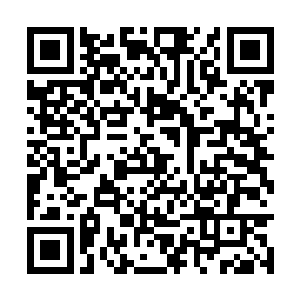 龙傲天就算是达到了天尊境界也不可能如此强悍吧二维码生成