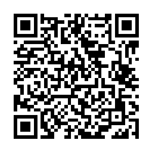 龙傲天就远远的砍到了高耸入云的恐怖的不周圣山了二维码生成