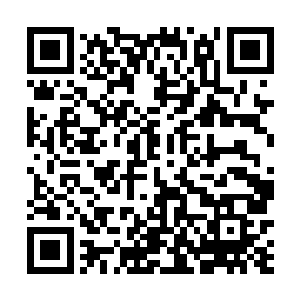 龙傲天已经感觉到了周围有几股气息正在朝着这里接近二维码生成