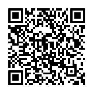 龙傲天得到的信息中还有无数的秘法之类的东西二维码生成