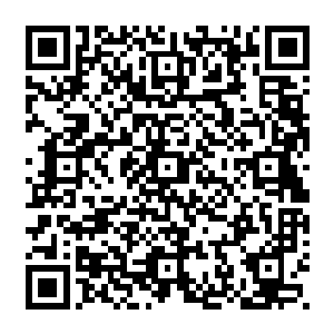 龙傲天微微楞了一下抬起头看了看眼前这个为了爱情奋不顾身的女人淡淡的说了一句二维码生成