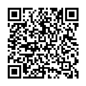 龙傲天心里可是知道给龙皇的帮助远远大于龙族回报龙傲天的二维码生成
