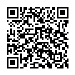 龙傲天必须用他们的鲜血告诉整个寰宇天界的人二维码生成