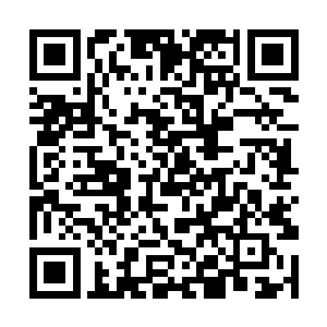 龙傲天忽然感觉到很多高手朝着这边飞速的移动过来二维码生成