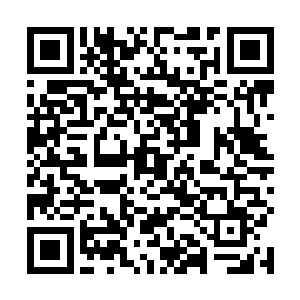 龙傲天怎么也想不出来这向天刺的一剑能够有什么作用二维码生成