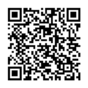 龙傲天怕拿出来不但没有帮到小孩而且还惹祸上身二维码生成