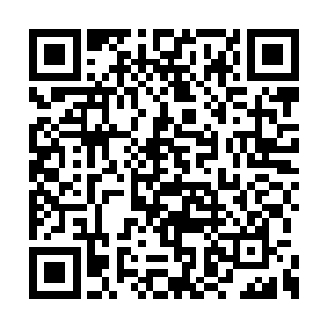 龙傲天想要找到他的踪迹的话恐怕还真的不容易二维码生成