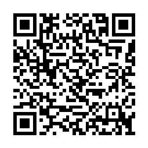 龙傲天感受到身上那股剧痛之后心中也是咒骂道二维码生成