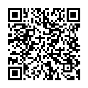 龙傲天感觉凯莉长老看向自己的目光总有一种长辈看晚辈的神二维码生成