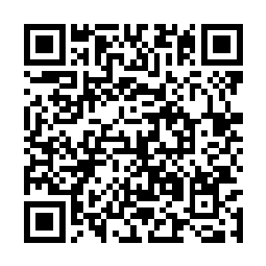 龙傲天感觉到了五股金丹期的气息朝着这边赶过来二维码生成