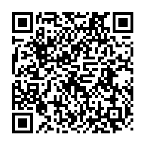 龙傲天感觉到林欣儿身体四周包围着的那股灵气屏障气势越来越弱了二维码生成