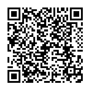 龙傲天感觉要是手段尽出的话龙傲天可以将人沧澜还有其余的三个人留下二维码生成
