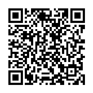 龙傲天才发现这个金乌大帝虽然表面上显得那么高高在上二维码生成