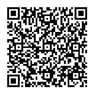 龙傲天打算等在去天域之前给龙家的核心成员还有那些对龙家立过大功的成员都分一头魔宠二维码生成