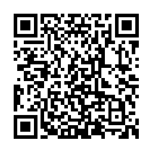 龙傲天把他们对自己所使用的所有魔法进行整合二维码生成