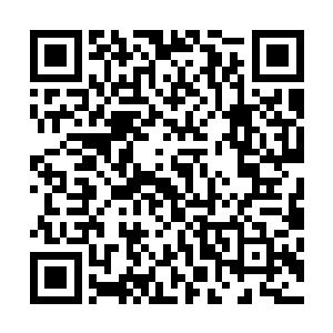 龙傲天抓起这个男子的衣领就飞到了一片浓密的灌木丛之中二维码生成