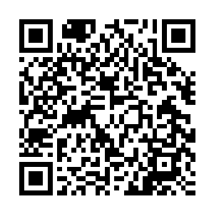 龙傲天收敛了身上的气息然后直接朝着天古荒域的核心之地赶去二维码生成