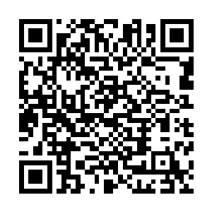 龙傲天整个人的身体也只感觉仿佛倍一柄大锤子轰到了一般二维码生成