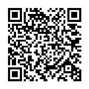 龙傲天整理了整理思路轻声的说着这件事情的来龙去脉二维码生成