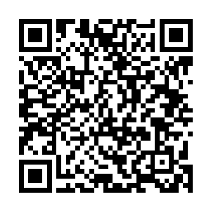 龙傲天早在薛隐带着风笑天到来的时候就已经十分的清楚二维码生成
