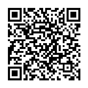 龙傲天明显的感觉到自己手上的力量一下子强大了不少二维码生成