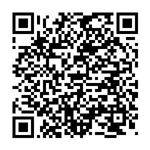 龙傲天杀掉青零的一幕无异于给所有三族联盟的人打上了鸡血一般二维码生成