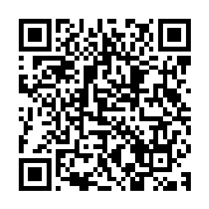 龙傲天来这里之后顿时发现这个地方竟然是一个通向地下的通道二维码生成