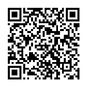 龙傲天比赛完了之后现在学院交流赛的八强已经产生了二维码生成