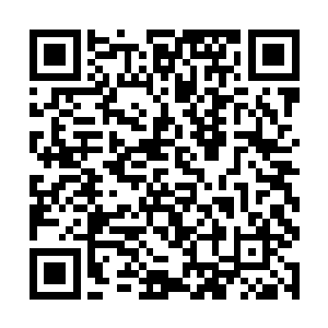 龙傲天没有废话直接拿出了一瓶丹药给了龙玄开口道二维码生成