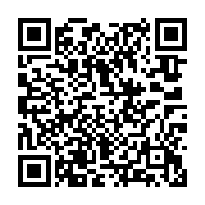 龙傲天炼制的这些酒里面的能量可都是完全内敛的二维码生成