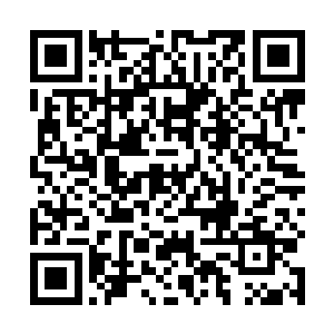 龙傲天焦急的寻找着白静和嫣然的身影但是却遍寻不到二维码生成