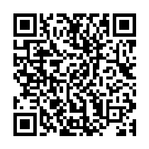 龙傲天现在的水平在圣尊高手面前不过是蝼蚁一般的存在而已二维码生成