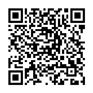 龙傲天甚至感觉到对方身上已经没有任何的生命的波动二维码生成