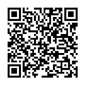 龙傲天用了不到两个小时的时间收拾了六只傀儡兽二维码生成