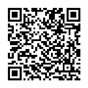 龙傲天的力量并没有使得洞府的本源受到丝毫的伤害二维码生成