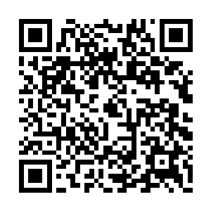 龙傲天的情况也早就已经发生了天翻地覆的变化二维码生成