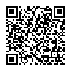 龙傲天的攻击瞬间穿到了铁背狼小头领的口腔之中二维码生成