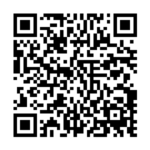 龙傲天的本尊控制着浑天罗盘直接开始破解药田上空的禁制二维码生成