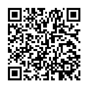 龙傲天的目光也是朝着前面的诡异的山谷中望去二维码生成