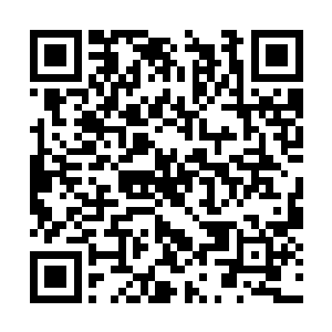 龙傲天的背后就留下了不下数千具血狱怪物的尸骨二维码生成