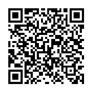 龙傲天的行为显然瞬间便引起了幽家的众人的注意二维码生成