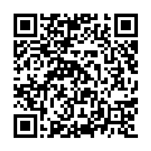 龙傲天的身体也是不断的经受一遍遍恐怖的冲击二维码生成