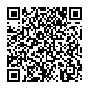 龙傲天的身后原本成片的药田此时也是变得寸草不生所过之处直接是挖地三尺二维码生成