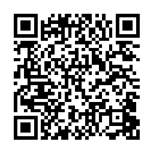 龙傲天的这一生大喊着实将屋内的人都震慑住了二维码生成