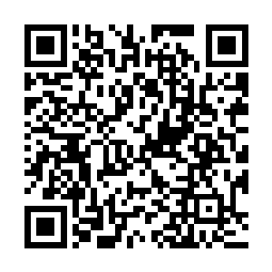 龙傲天的bo动竟然已经达到了恐怖的神王中期的水平二维码生成