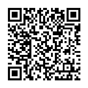 龙傲天直接再一次将圣邪战傀从天碑之中召唤了出来二维码生成