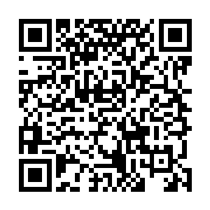 龙傲天直接将所有人全都收入了轮回圣殿的修炼空间之中二维码生成