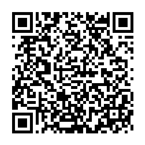 龙傲天直接调动轮回圣殿的气息来压制玄黄天地印之中的诡异的禁制二维码生成