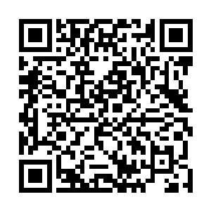 龙傲天相信以自己的实力已经足以保得住这鸿蒙虚天塔了二维码生成